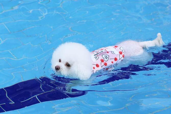 Summer Dog Swimming Safety Life Jacket - happyandpolly