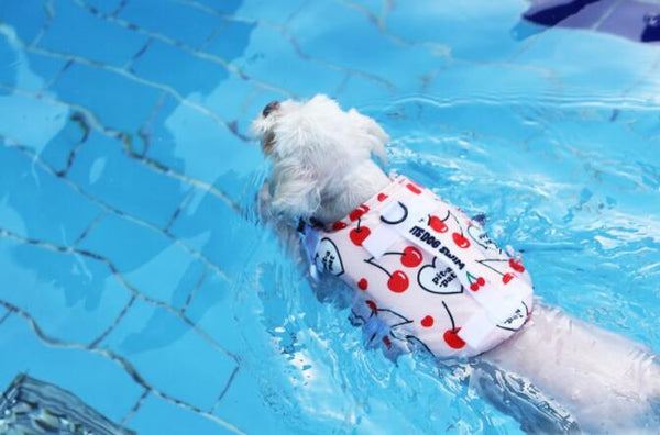 Summer Dog Swimming Safety Life Jacket - happyandpolly