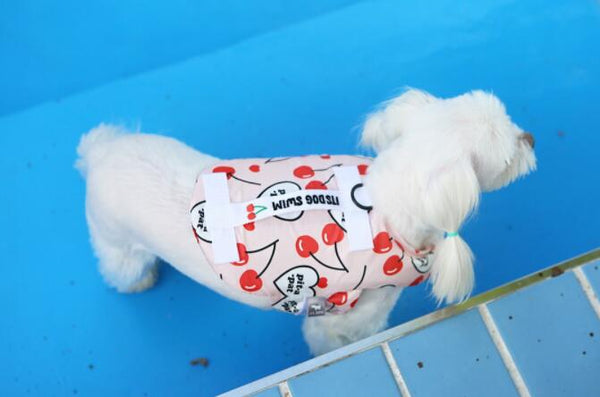 Summer Dog Swimming Safety Life Jacket - happyandpolly