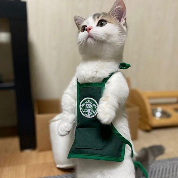 The Chef’s Apron Special Designed For Cats