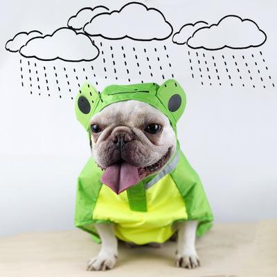 Dog Raincoat Pet Frog Raincoat - happyandpolly