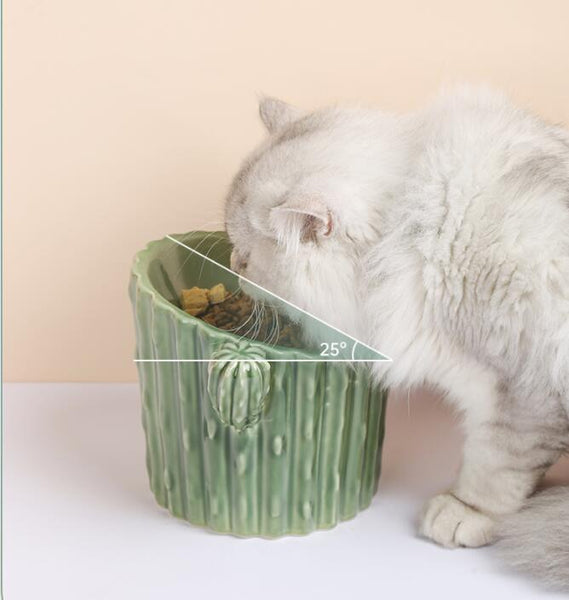 Cactus Shaped Elevated Ceramic Cat Bowl