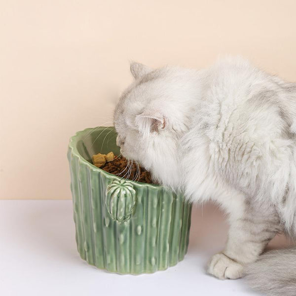 Cactus Shaped Elevated Ceramic Cat Bowl