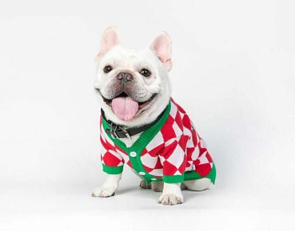 Christmas Pet Sweater