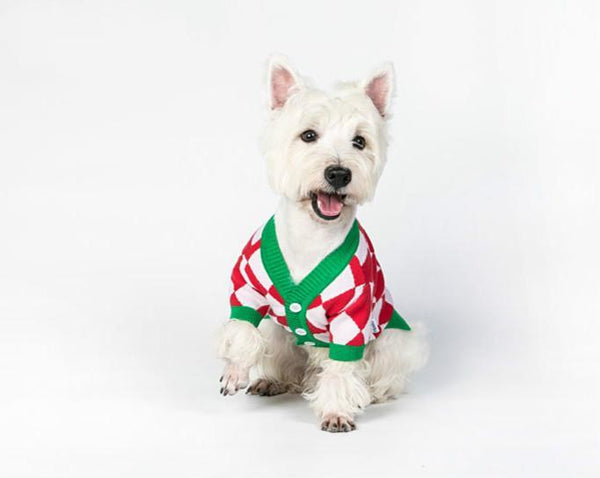 Christmas Pet Sweater