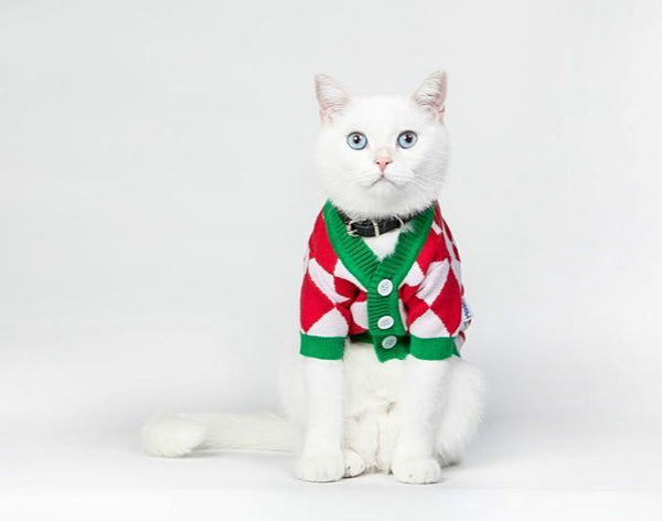 Christmas Pet Sweater