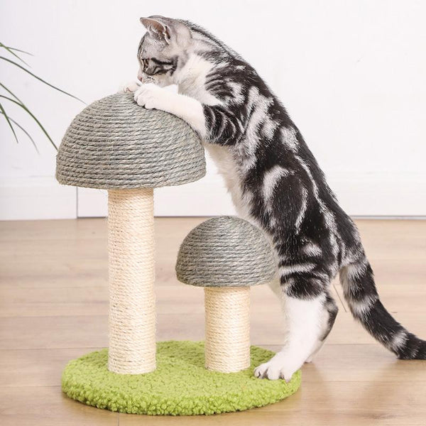 Mushroom Shaped Cat Climbing Frame