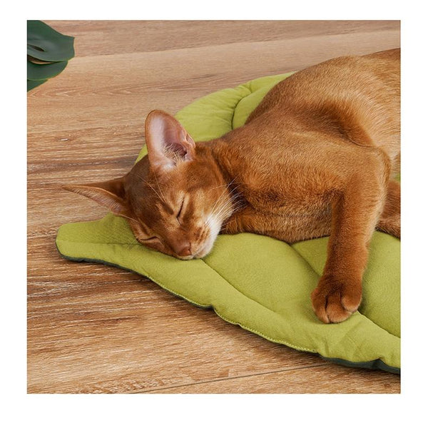 Leaf Shaped Cat Bed