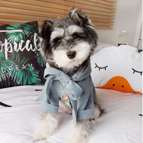 Morandi Puppy Dog Coat Outerwear