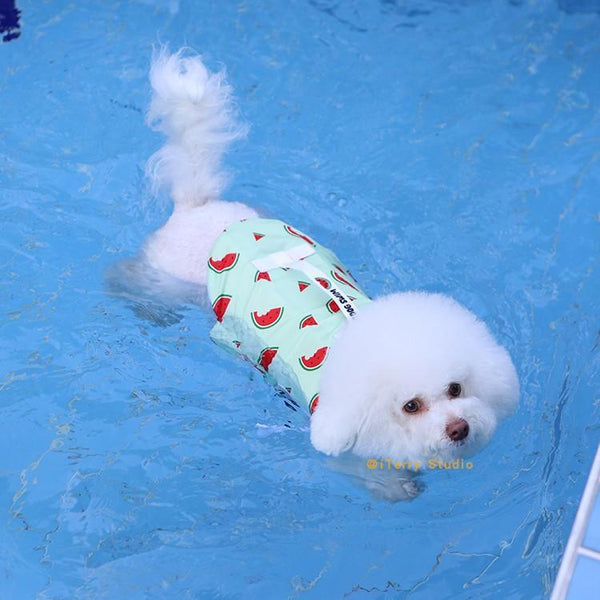 Summer Dog Swimming Safety Life Jacket